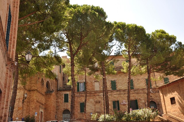 min 2009 08 18 ostra 118